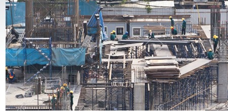 建築工地成蟲防制案例